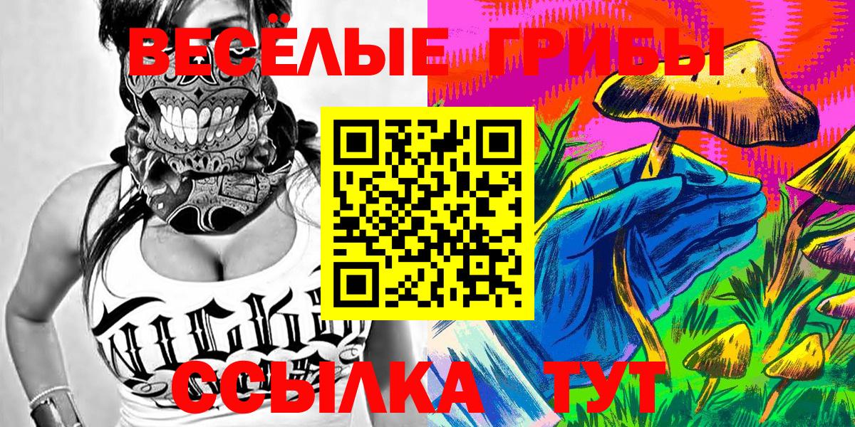 Псилоцибиновые грибы прущие грибы Норильск