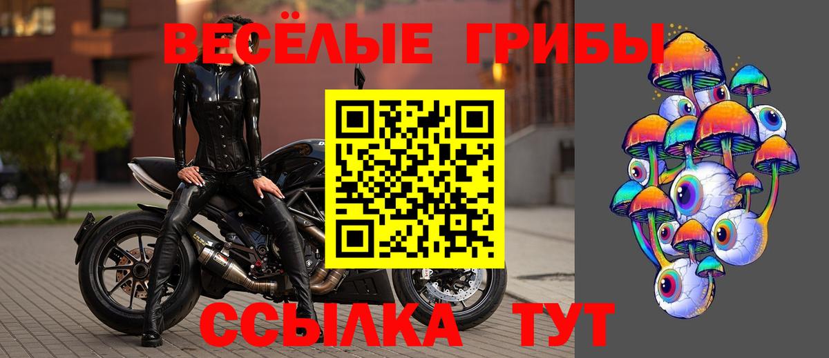 Галлюциногенные грибы Psilocybe  Вход с VPN  Норильск 